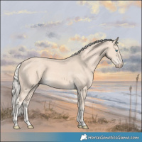 Horse Color:Cremello 