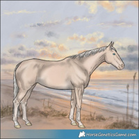 Horse Color:Cremello 