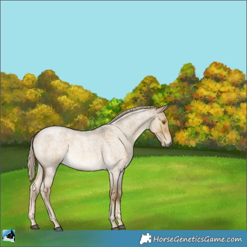 Horse Color:Chocolate Palomino Roan Dun Mushroom 