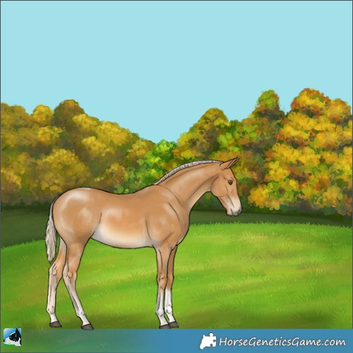 Horse Color:Palomino Mushroom Tobiano 