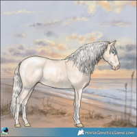 Horse Color:Cremello Sabino Rabicano 