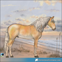 Horse Color:Palomino Mushroom Rabicano 