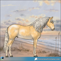 Horse Color:Palomino Mushroom Rabicano 