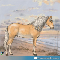 Horse Color:Palomino Mushroom Rabicano