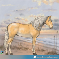 Horse Color:Palomino Mushroom Rabicano