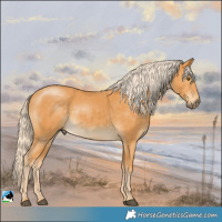 Horse Color:Palomino Mushroom Rabicano 