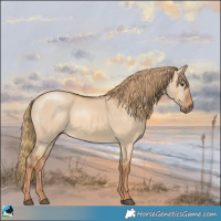 Horse Color:Red Dun Sabino 