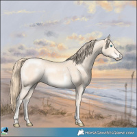 Horse Color:Perlino Sabino