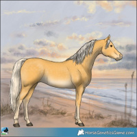 Horse Color:Palomino 