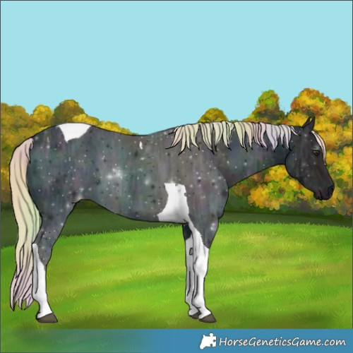 Horse Color:Nacre Midnight Chocolate Palomino Ice Tobiano 