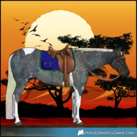 Horse Color:Nacre Midnight Chocolate Palomino Ice Tobiano 