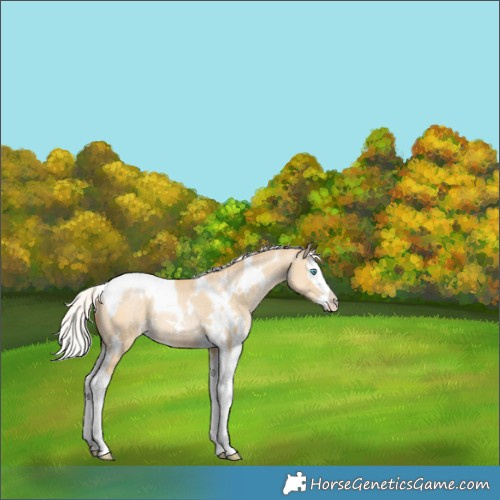 Horse Color:White Spotted Silver Smoky Grullo Pearl Splash Tobiano 