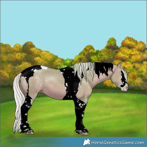 Horse Color:Watercolor Silver Brown Dun Sabino Splash Tobiano Appaloosa 