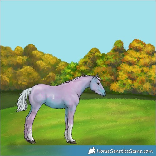 Horse Color:Watercolor White Spotted Silver Brown Tobiano 