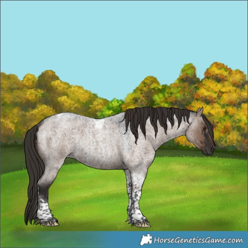 Horse Color:Liver Red Dun Roan Tobiano Rabicano Brindle