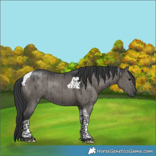 Horse Color:Grullo Tobiano Rabicano Brindle 