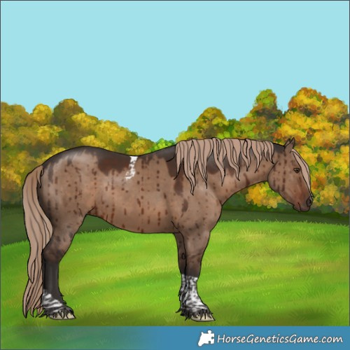 Horse Color:Liver Red Dun Tobiano Rabicano Brindle 