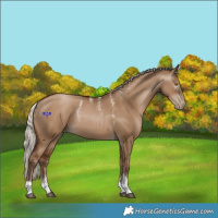 Horse Color:Powder White Gray Silver Grullo Pearl Tobiano 