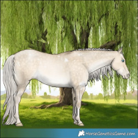 Horse Color:White Spotted Silver Buckskin Pearl Dun Rabicano 