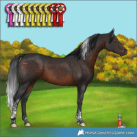 Horse Color:Brown Tobiano 