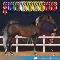 Horse Color:Brown Tobiano 
