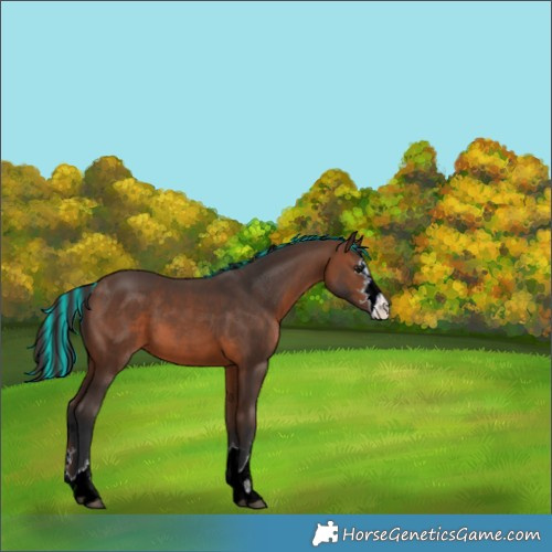 Horse Color:Painted Brown 