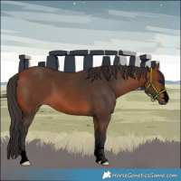 Horse Color:Void Bay 