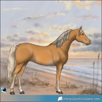 Horse Color:Palomino
