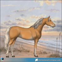 Horse Color:Palomino