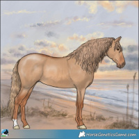 Horse Color:Red Dun 