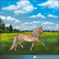 Horse Color:Palomino Dun Sabino Tobiano