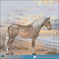 Horse Color:Red Dun Mushroom Sabino 