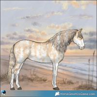 Horse Color:Palomino Dun Mushroom Sabino