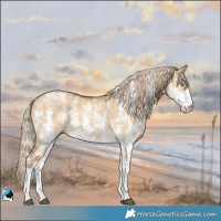 Horse Color:Palomino Dun Mushroom Sabino 