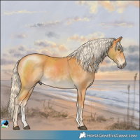 Horse Color:Palomino Mushroom Sabino