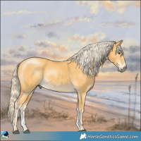 Horse Color:Palomino Mushroom Sabino
