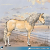 Horse Color:Palomino Dun Sabino 