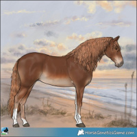 Horse Color:Chestnut Tobiano