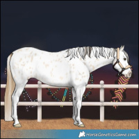 Horse Color:Buckskin Roan Dun Splash Leopard 