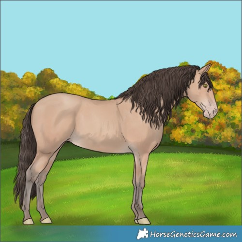 Horse Color:Amber Champagne 