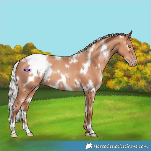 Horse Color:White Spotted Silver Sable Champagne 