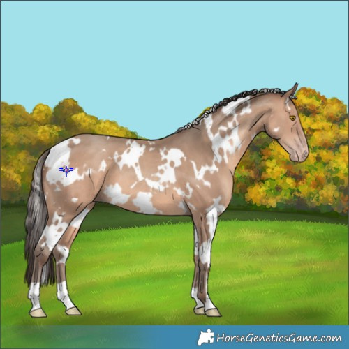 Horse Color:White Spotted Amber Champagne 