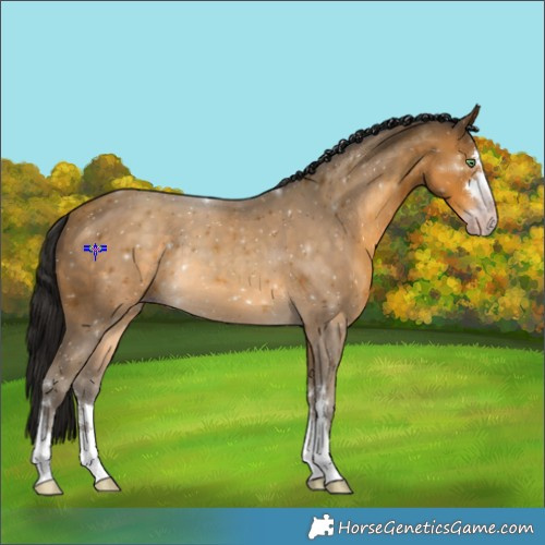 Horse Color:Gray Sable Cream Champagne 