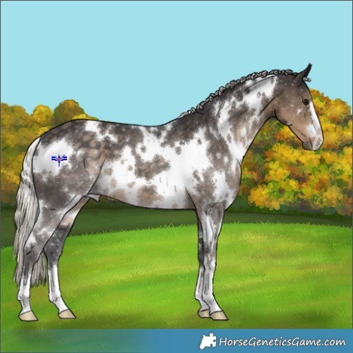Horse Color:White Spotted Silver Smoky Black 