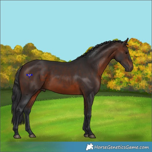 Horse Color:Brown 