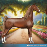 Horse Color:Chestnut 