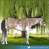 Horse Color:White Spotted Liver Red Dun Ice Splash 
