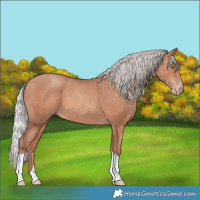 Horse Color:Silver Sable Champagne 
