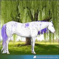 Horse Color:Watercolor Black Ice Sabino Splash 