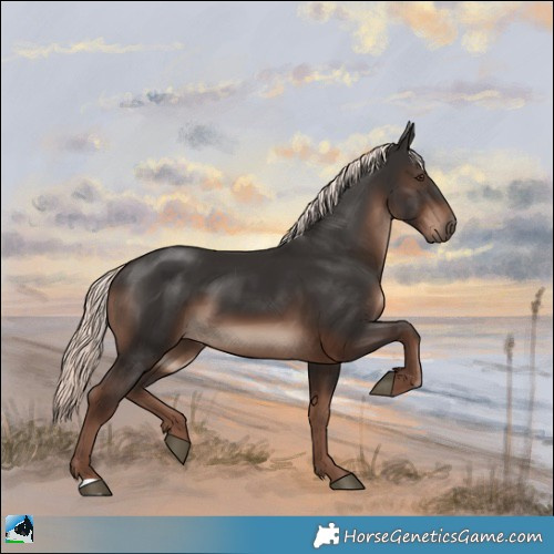 Horse Color:Liver Chestnut Mushroom